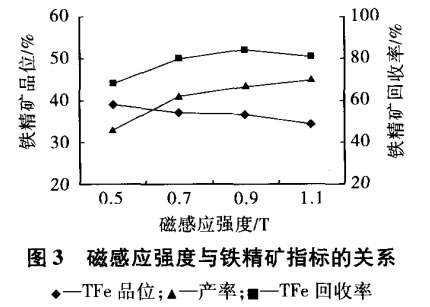 磁感應(yīng)強度與鐵精礦指標(biāo)的關(guān)系
